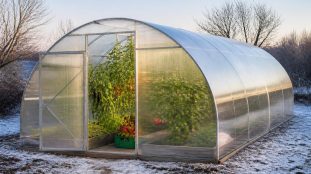 découvrez comment une serre en polycarbonate peut prolonger la saison des cultures en offrant une protection optimale contre les intempéries et en maintenant une température idéale pour la croissance des plantes.