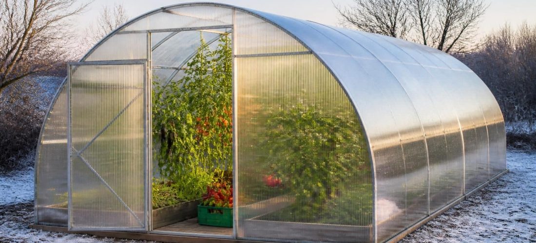 découvrez comment une serre en polycarbonate peut prolonger la saison des cultures en offrant une protection optimale contre les intempéries et en maintenant une température idéale pour la croissance des plantes.